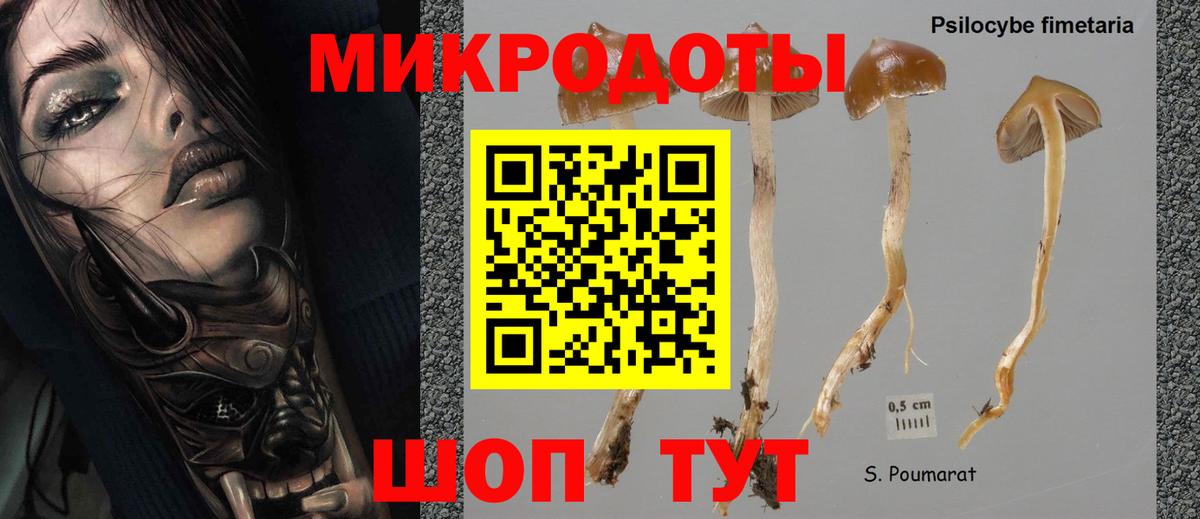 Луховицы  Псилоцибиновые грибы мицелий  Вход с VPN  Галлюциногенные грибы мицелий 